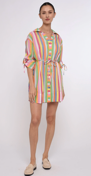 Shannon Mini Dress Surya Stripe
